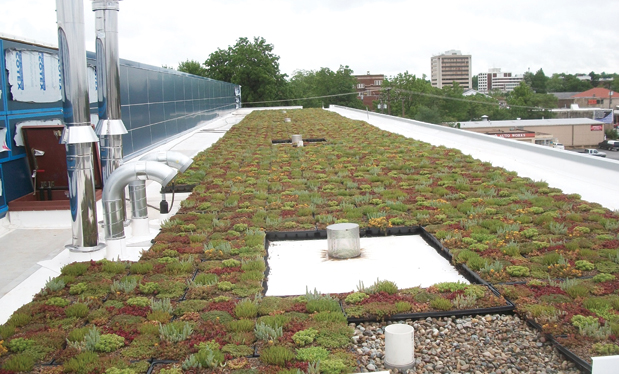 The virtues of vegetation - Vegetative roof systems continue to offer numerous benefits