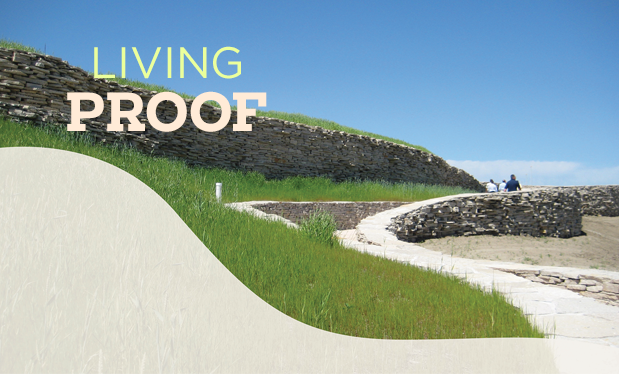 Living proof - Vegetative roof systems can help you gain environmentally conscious customers 