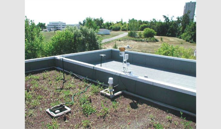 The median divider separates the green roof system (left) and reference roof system. The weather station is located at the median divider. 