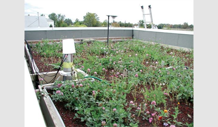 A green roof system was built on the Field Roofing Facility at the National Research Council Canada's campus in Ottawa. The wildflowers growing on the green roof system are native to Ontario or adapted to its climate.