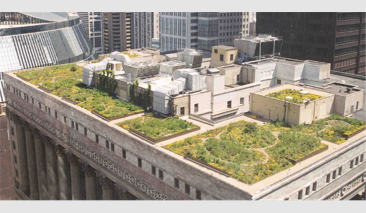 Chicago City Hall's green roof system serves as a model for other cities' green plans.