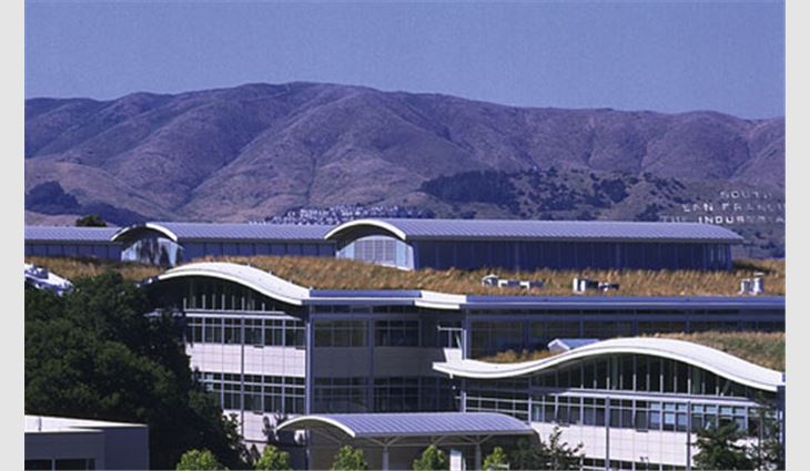The Gap Inc. office building in San Bruno, Calif., was designed to blend into a steep savannah site. The 69,000-square-foot (6400-m&sup2;) undulating green roof system is covered in native grasses and wildflowers.