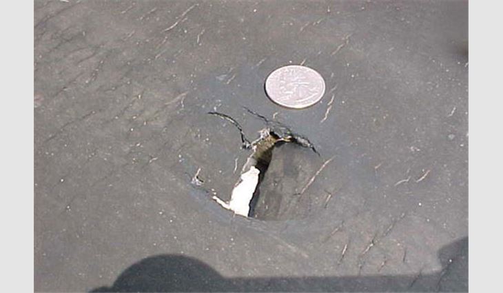 Photo 3: This APP-modified bitumen roof system was punctured by hail.