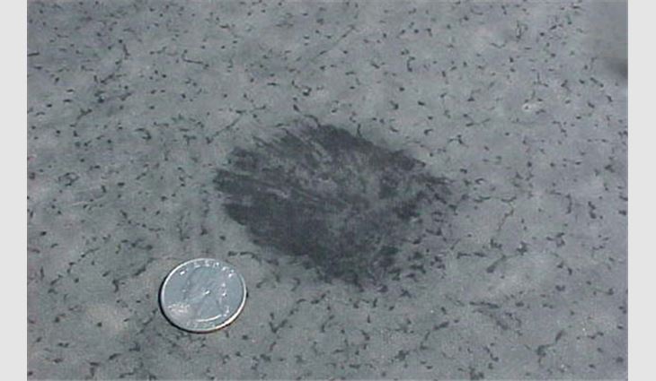 Photo 9: This EPDM membrane was hit with 2 1/2-inch-diameter hail, and no visible membrane damage occurred.
