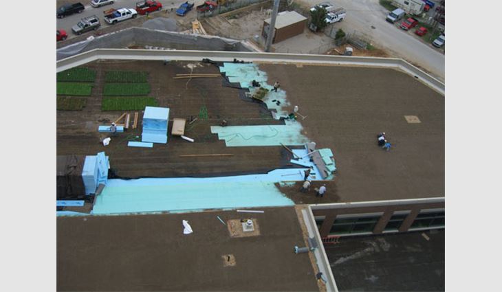 Before installing the overburden, Construction Services loose-laid a polypropylene composite with a drainage core and a water-retention fabric on one side on the waterproofed deck.