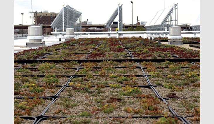 Trinity Roofing Service Inc., Blue Island, Ill., installed about 16,100 square feet of GreenGrid® vegetative modules.
