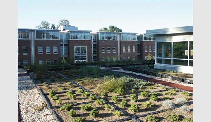 Photo 1: The Jordan N. Carlos Middle School Art Building at Woodward Academy, Atlanta, features a vegetative roof system within trays elevated above the roof membrane.