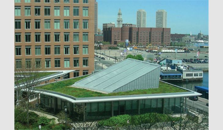Fertilizing vegetative green roof plants for the first three to five years will allow the plants to establish root systems and foliage necessary to become self-sustaining.
