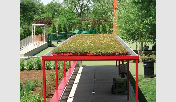 Weeds regularly should be removed from vegetative green roofs to prevent them from becoming a huge chore.