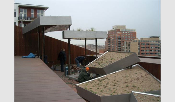 Five elevated steel-frame beds containing vegetative roof systems.
