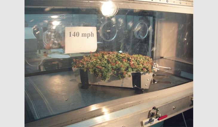 Test Specimen 1-3, a pre-vegetated module with 100 percent vegetative coverage, is positioned in the wind tunnel's test specimen bed.