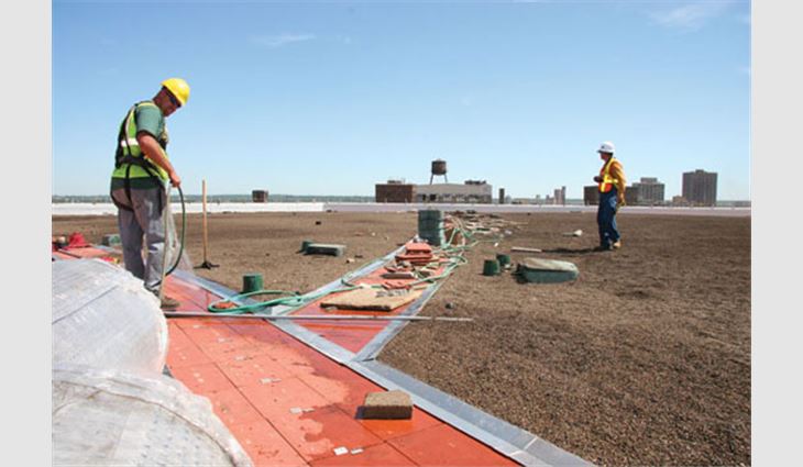 Workers test the full-drip irrigation system