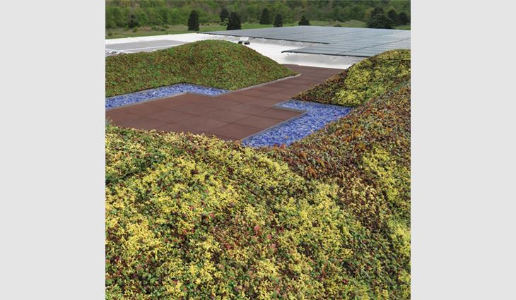 A Carslisle SynTec ultra-extensive roof garden.