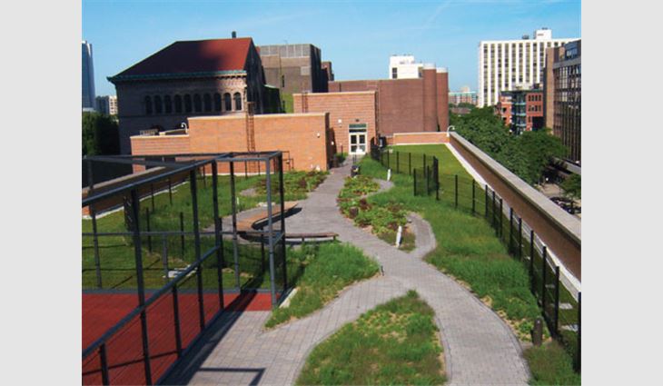 View of Ogden International School of Chicago's vegetative roof system from the building's northeast corner