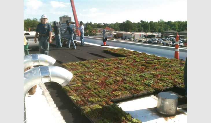 A 2-foot border zone between a vegetative roof system and parapet is recommended.
