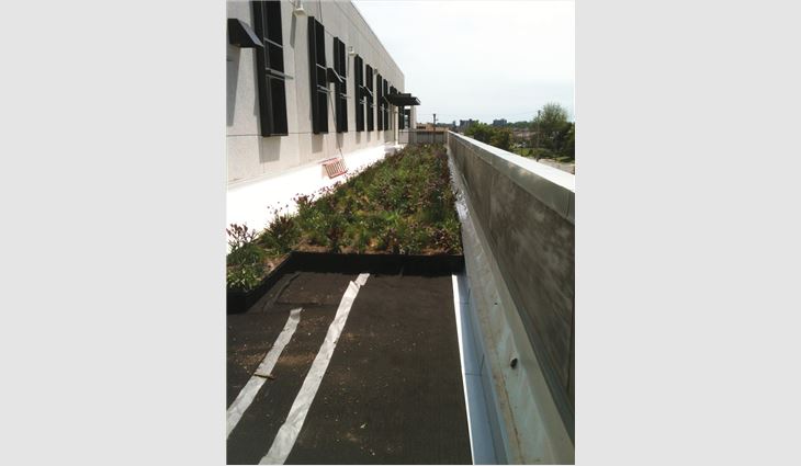 Contractors should verify the integrity of a roof system’s waterproofing membrane before installing a vegetative roof system.
