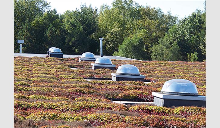 Bell’s&reg; Brewery Inc., Galesburg, Mich., integrated a daylighting system into the building's vegetative roof.