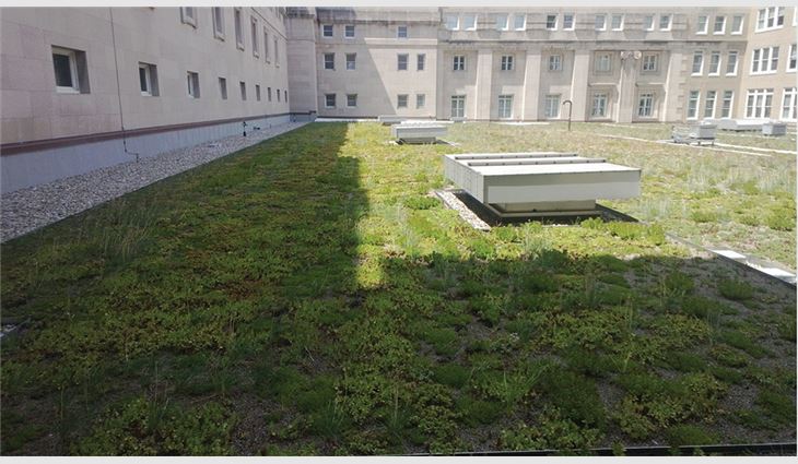 Twenty-four types of shade and sun plants totaling 60,000 hand-planted plants completed the vegetative roof system on the interior second-floor courtyard roof.