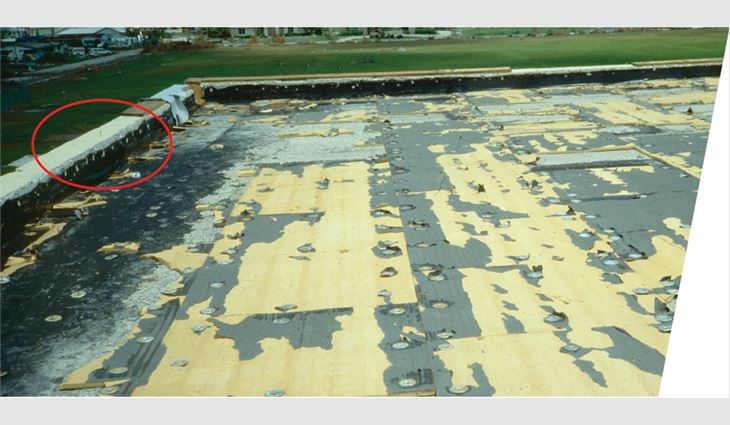 Photo 2: This roof membrane blow-off was initiated by nailer lifting during Hurricane Andrew. At some areas, the expansion bolts pulled out of the concrete parapet, and at other areas, the nailer pulled over the bolt washers.