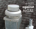 The fight against algae  - Manufacturers have a long history of trying to curb algae growth on shingles