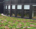 A natural fit - The roofing industry is positioned to lead the vegetative green roofing movement