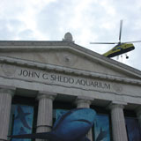 Cool beans - The John G. Shedd Aquarium uses an environmentally friendly soybean-based membrane on its roof system